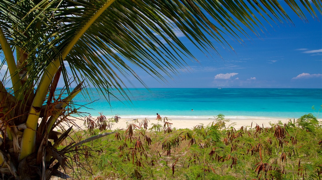 Darkwood Beach which includes general coastal views and a beach