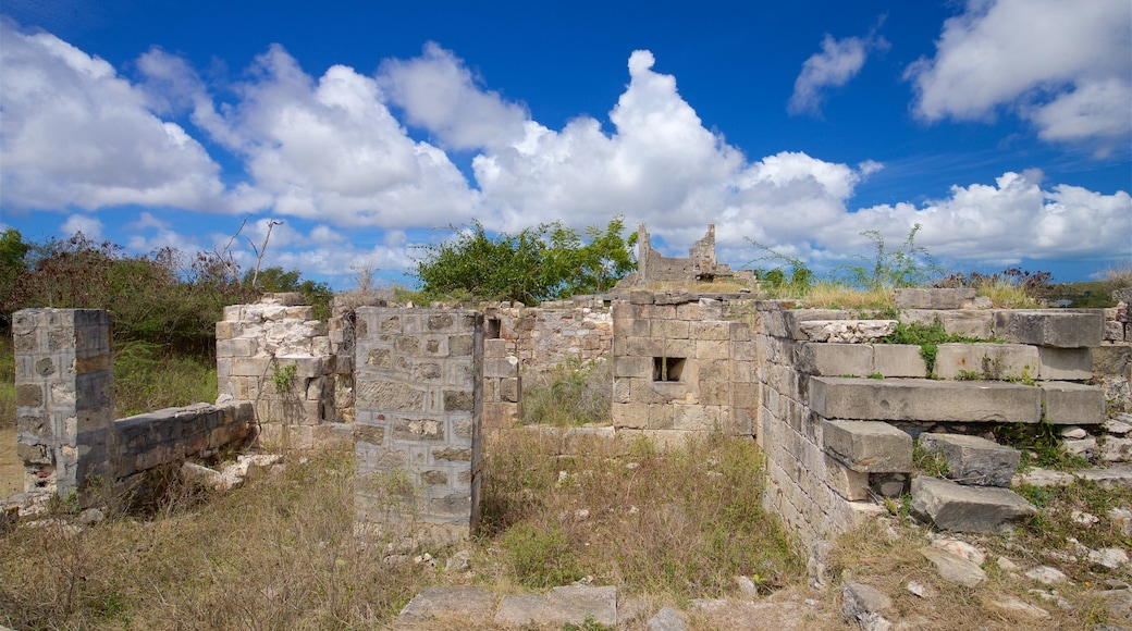 Betty\'s Hope Sugar Plantation showing building ruins