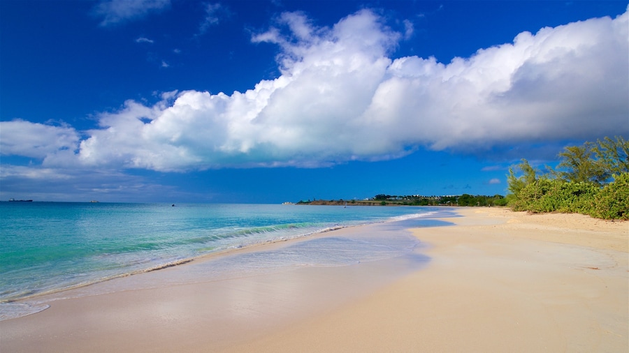 Fort Bay Beach caratteristiche di vista della costa e spiaggia sabbiosa