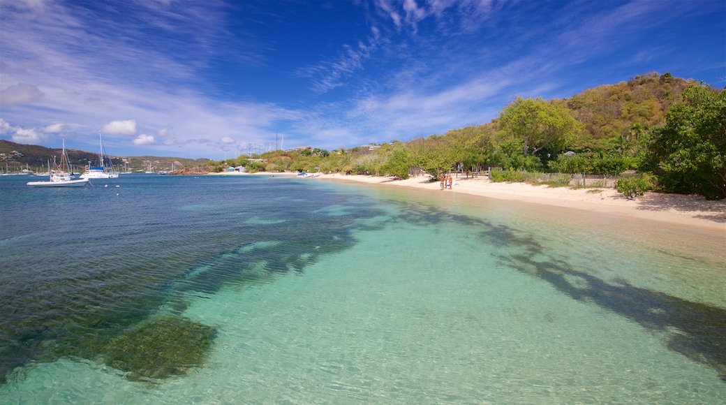 Pigeon\'s Point Beach showing general coastal views and a beach