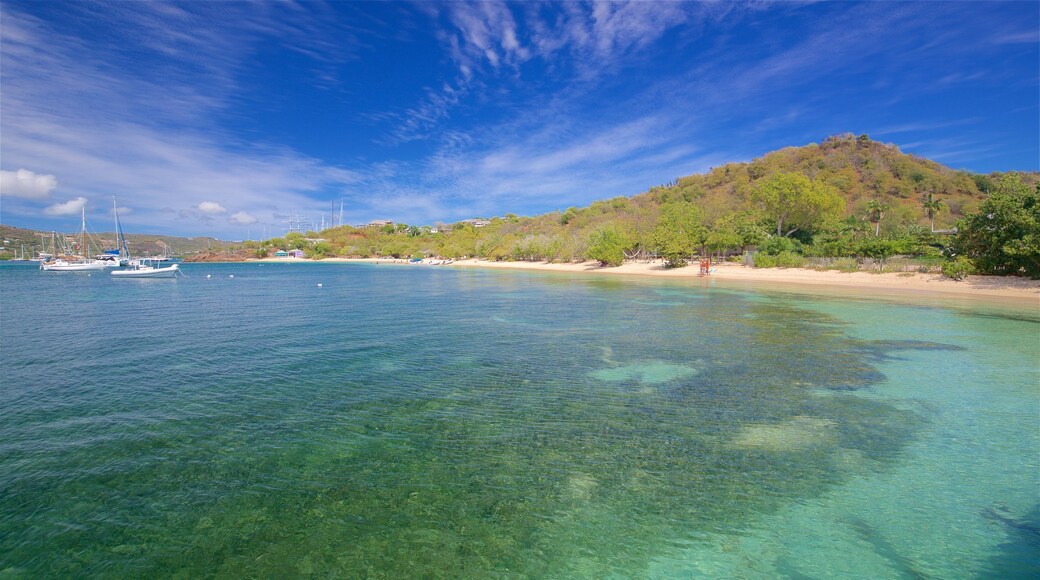 หาด Pigeon\'s Point ซึ่งรวมถึง ชายหาด และ ชายฝั่งทะเล