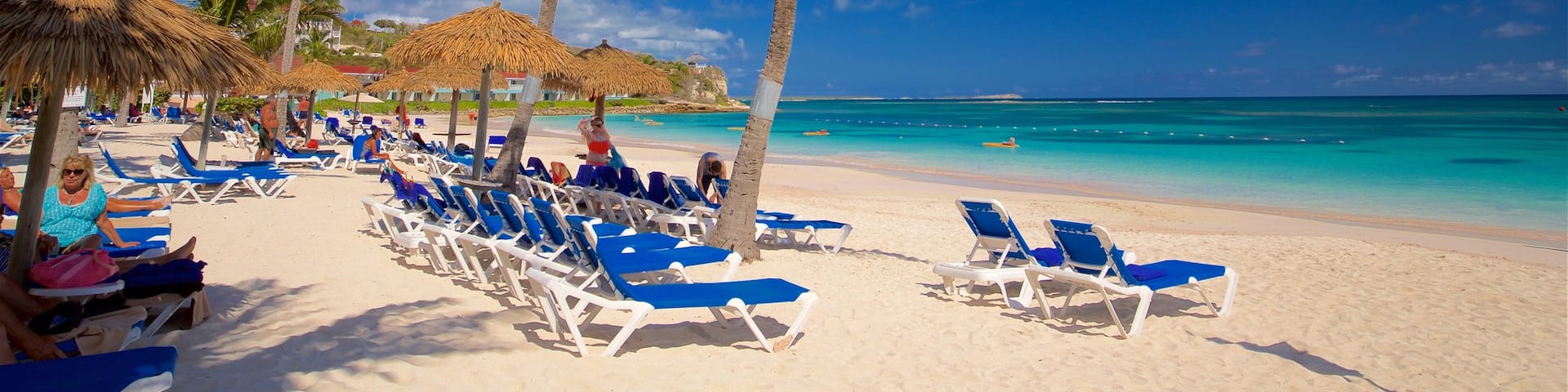 Long Bay which includes a sandy beach, general coastal views and tropical scenes