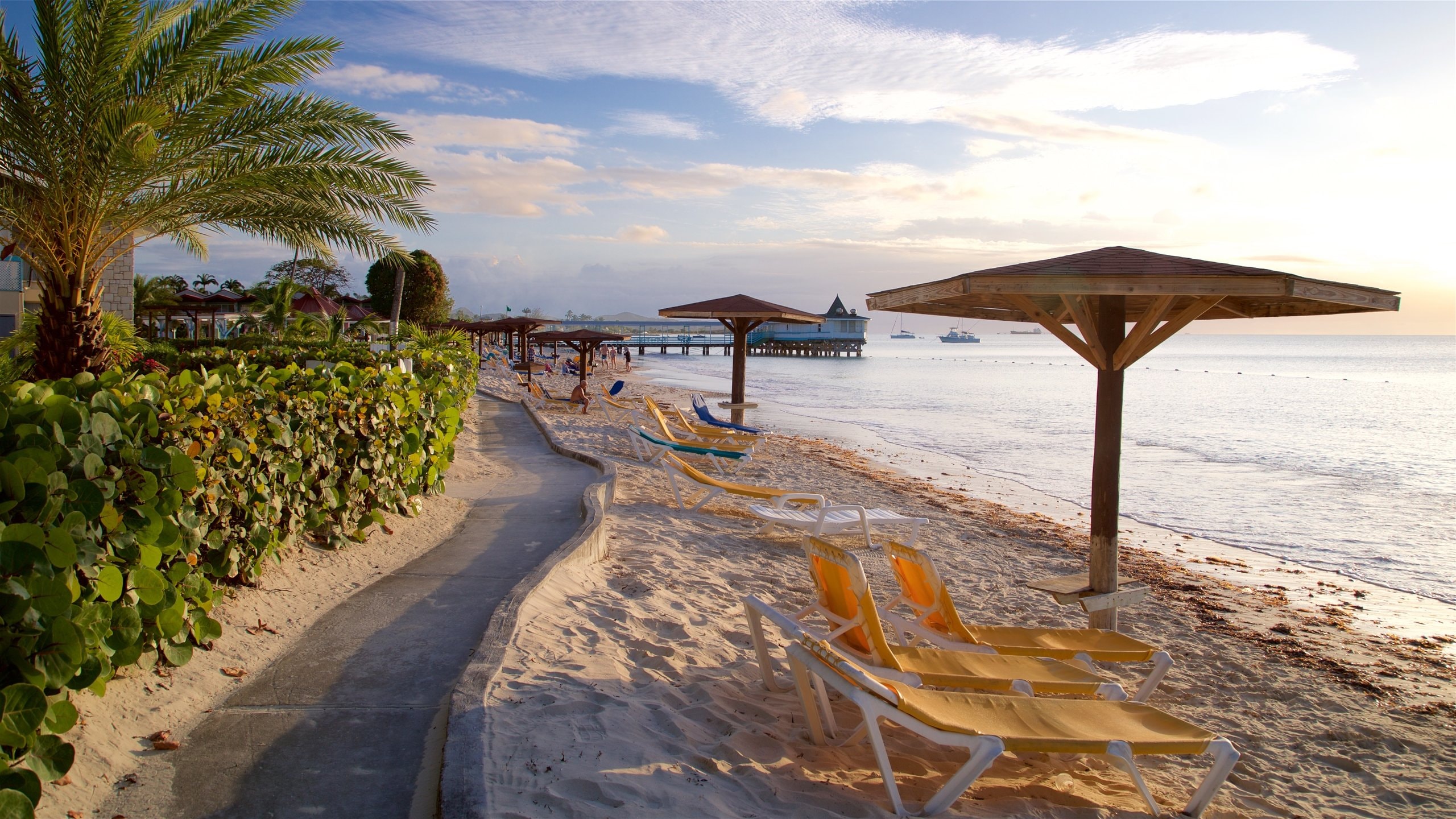 ディッキンソン ベイ ビーチ (ディケンソン ベイ) ツアーとアクティビティ エクスペディア