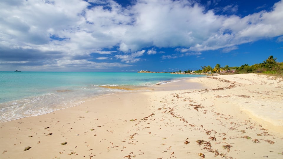 Runaway Bay Beach showing a beach and general coastal views