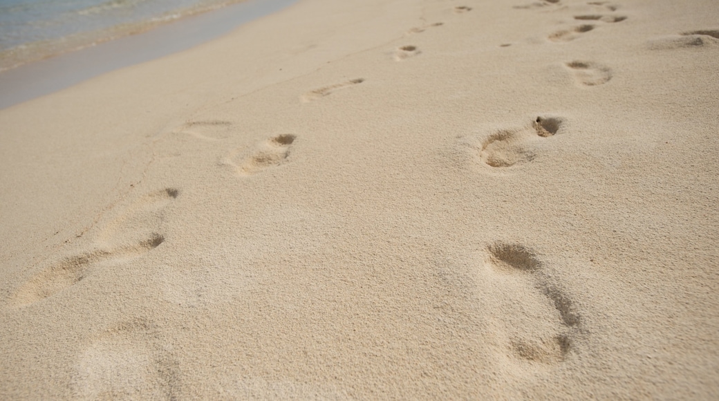 Samoa welches beinhaltet allgemeine Küstenansicht und Sandstrand