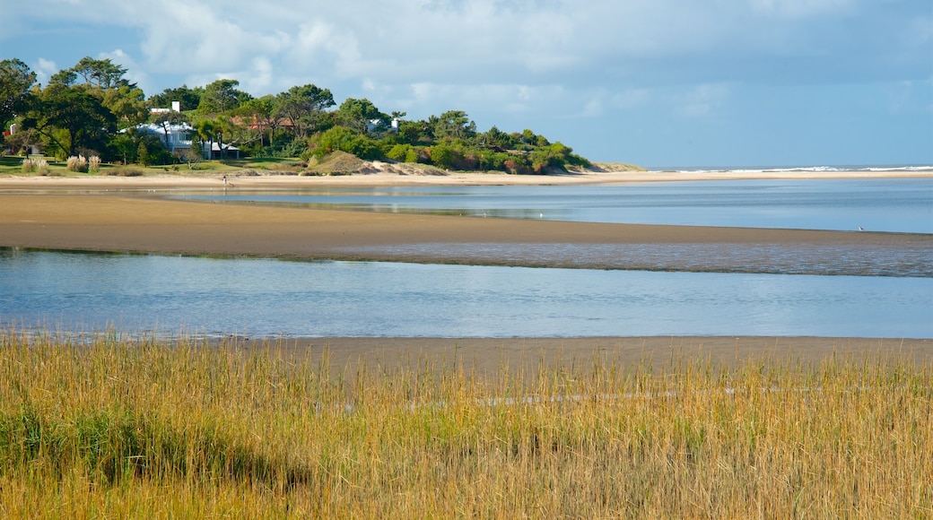 Uruguay toont een rivier of beek en algemene kustgezichten