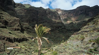 La Gomera which includes a gorge or canyon and landscape views