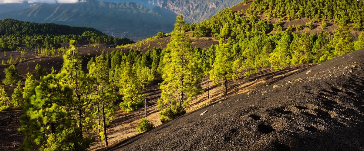 La Palma que incluye escenas tranquilas y vistas de paisajes