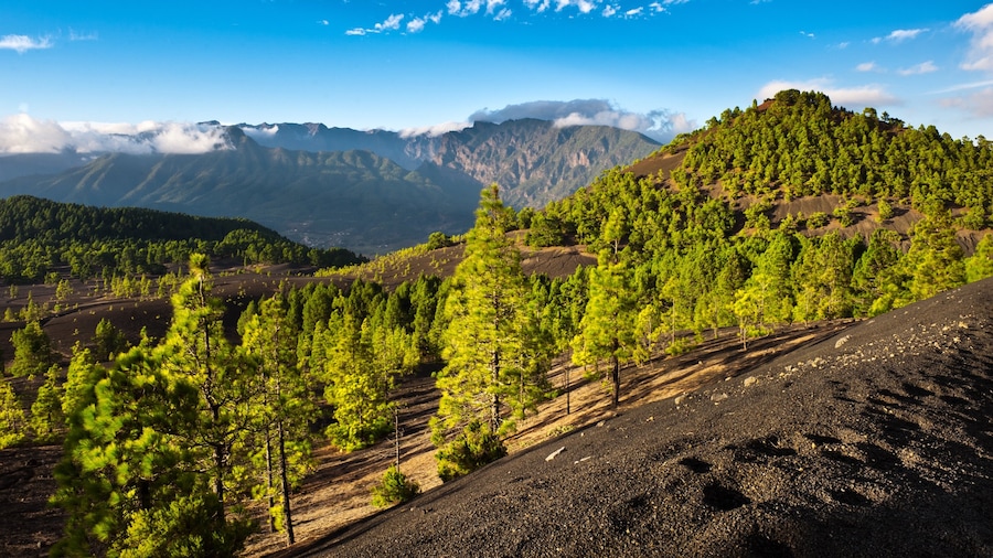 La Palma showing tranquil scenes and landscape views