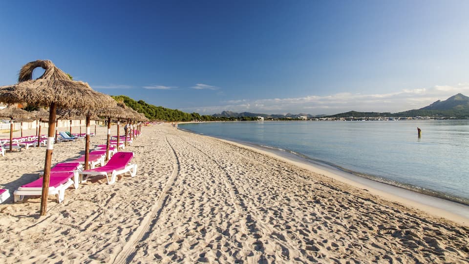 Alcudia featuring a beach, general coastal views and tropical scenes