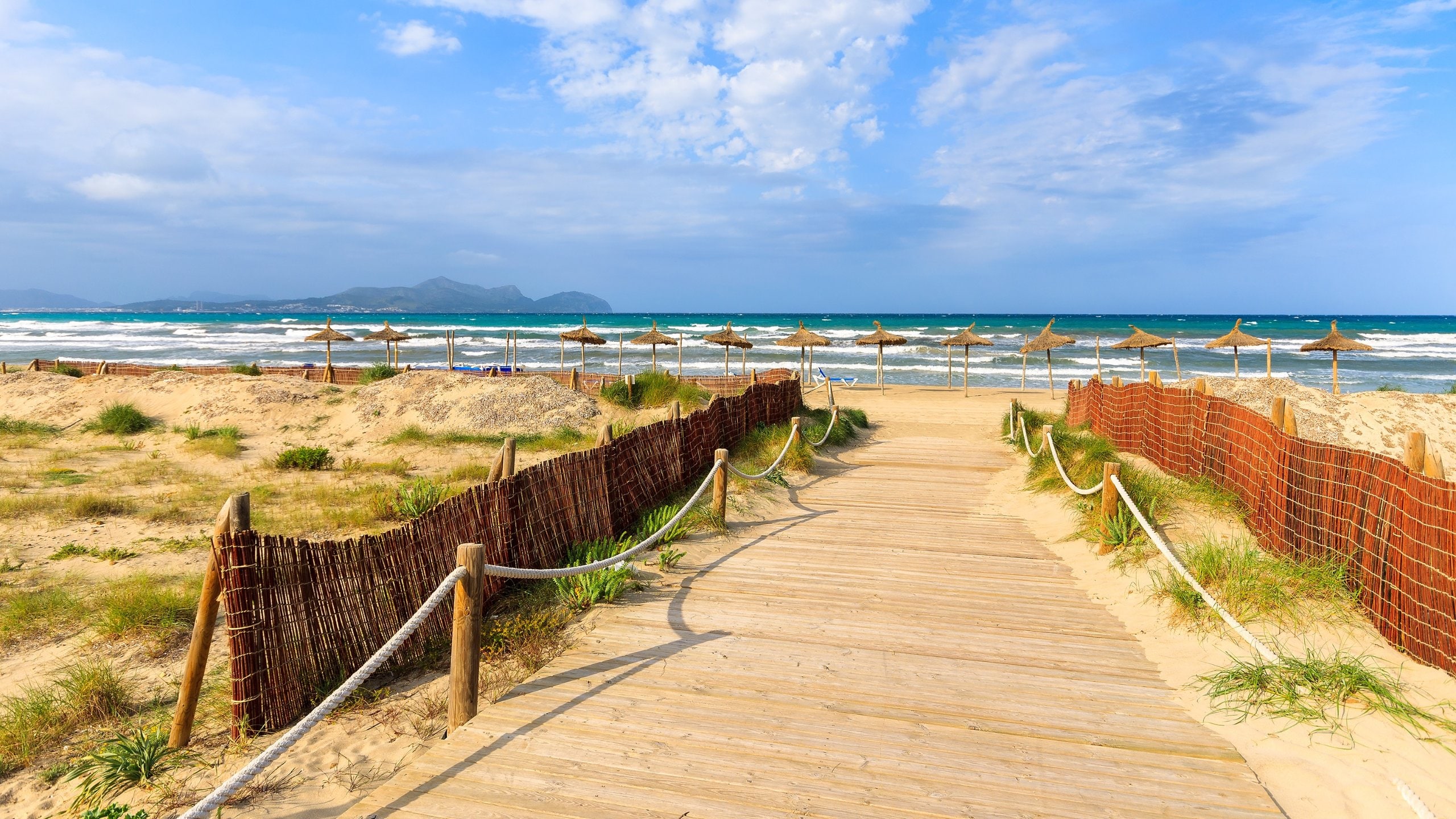 Alcudia which includes general coastal views and a sandy beach