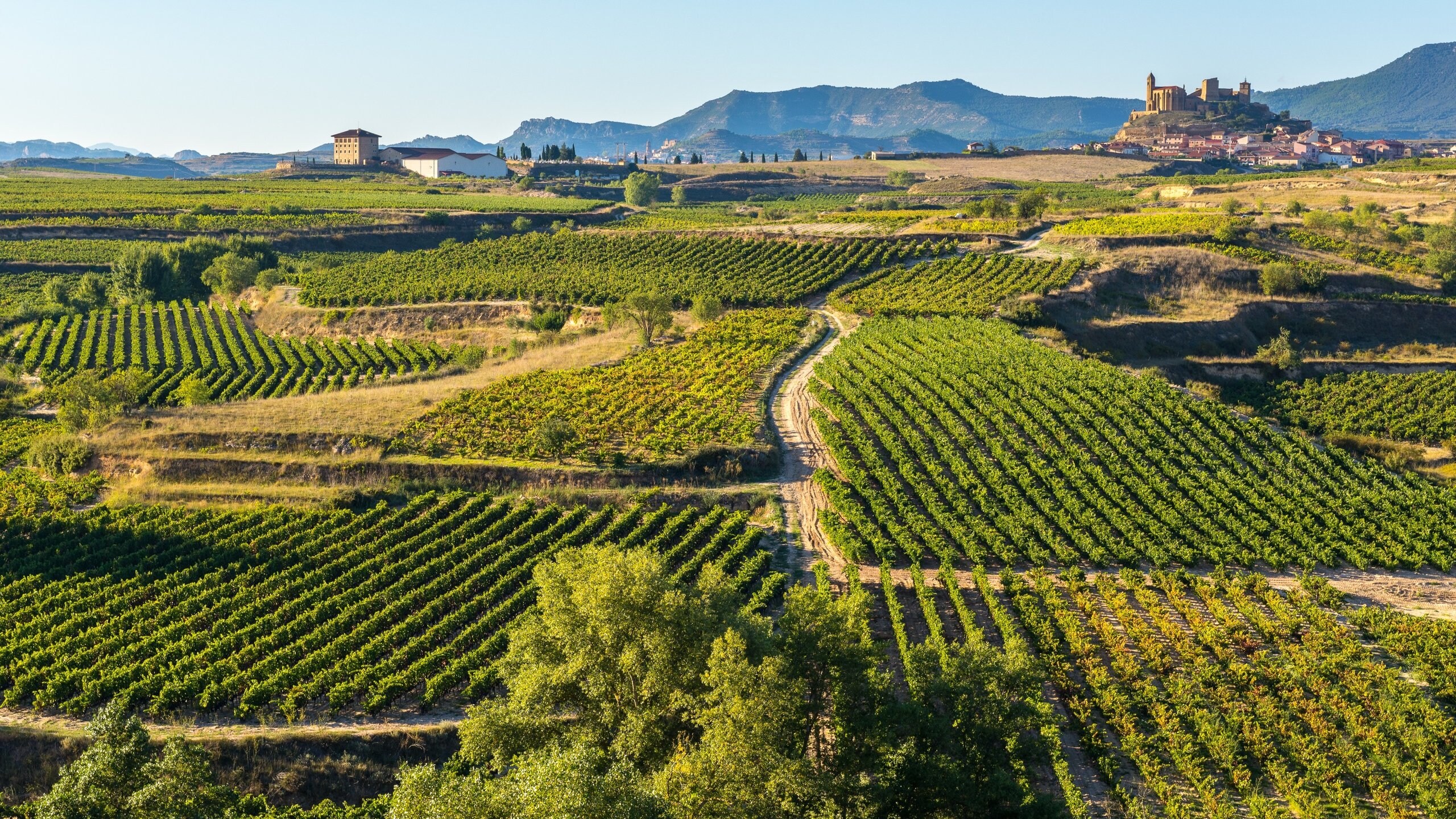 Vini Spagnoli Le Migliori Denominazioni Da Conoscere Vini Spagnoli Le Migliori Denominazioni Da Conoscere