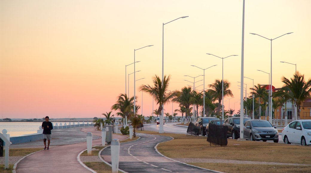 Strandboulevard van Campeche toont een zonsondergang, een park en een baai of haven
