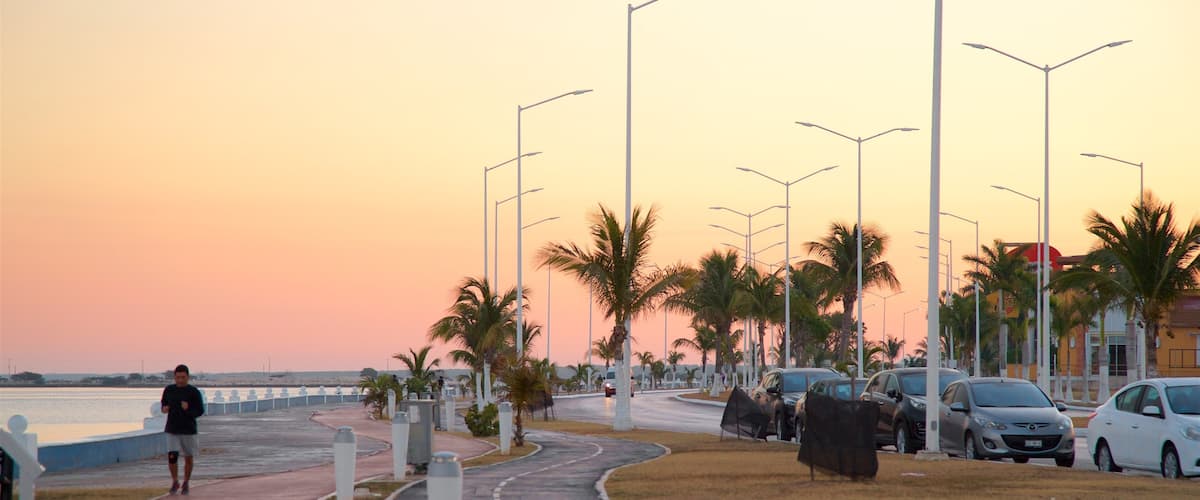 Malecón de Campeche que incluye una puesta de sol, una bahía o puerto y un parque