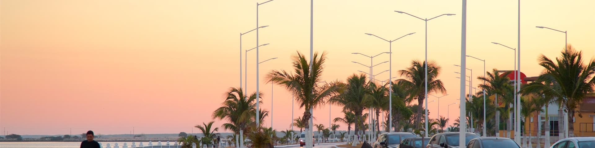 Campeche Waterfront Promenade featuring a sunset, a bay or harbor and a garden