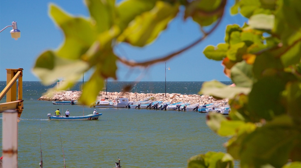 Lerma que incluye una bahía o un puerto y vista general a la costa