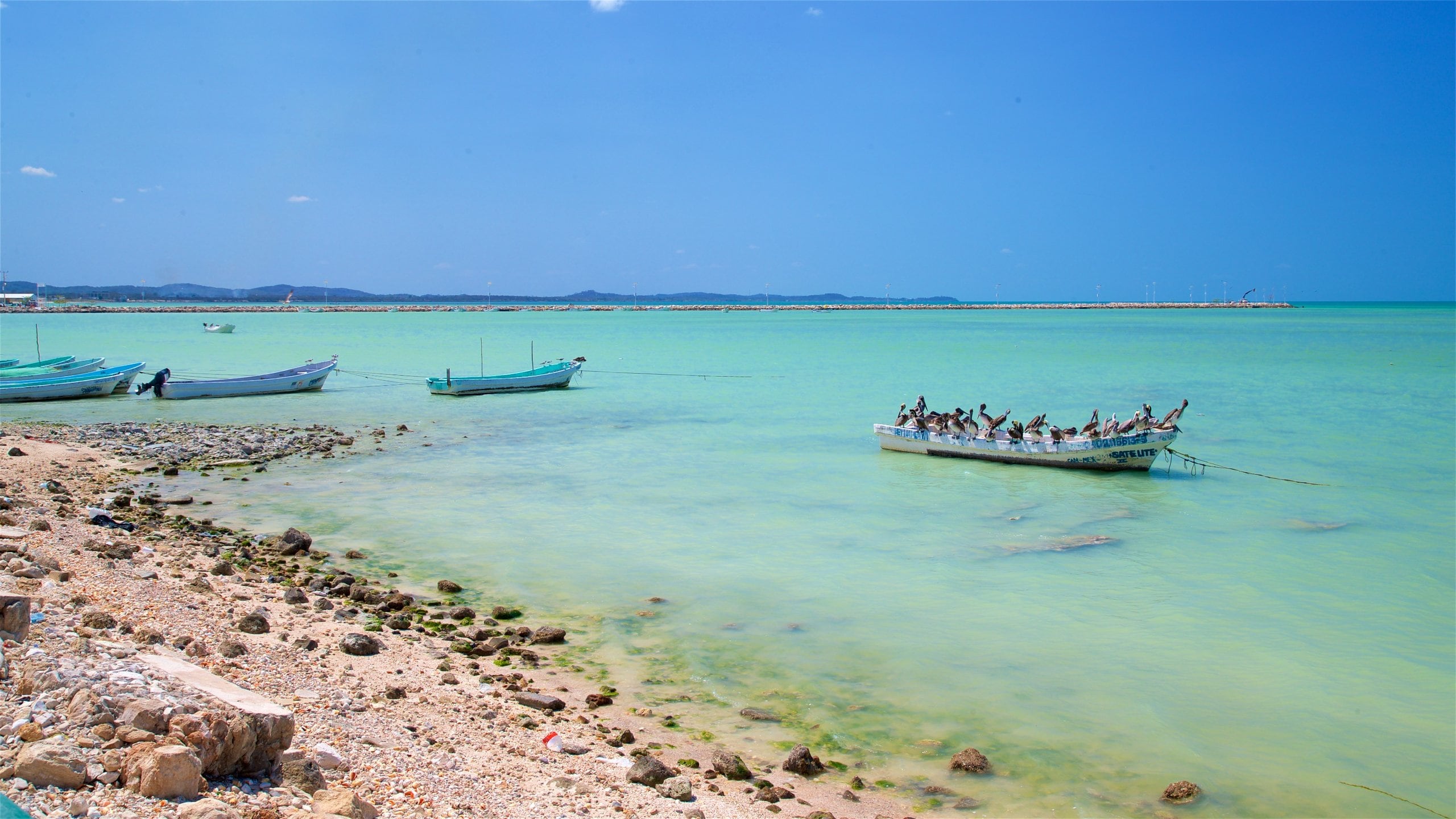 Seybaplaya, MX Vacation Rentals & more Vrbo