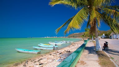 Seybaplaya que incluye una playa de arena, escenas tropicales y litoral rocoso