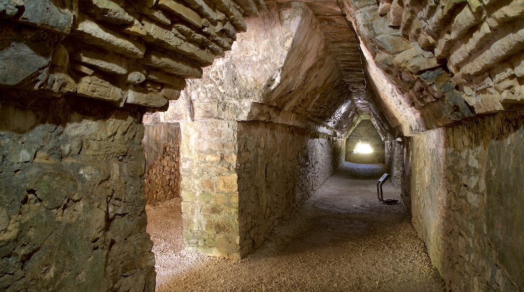 Pre-Hispanic City and National Park of Palenque featuring interior views and heritage elements