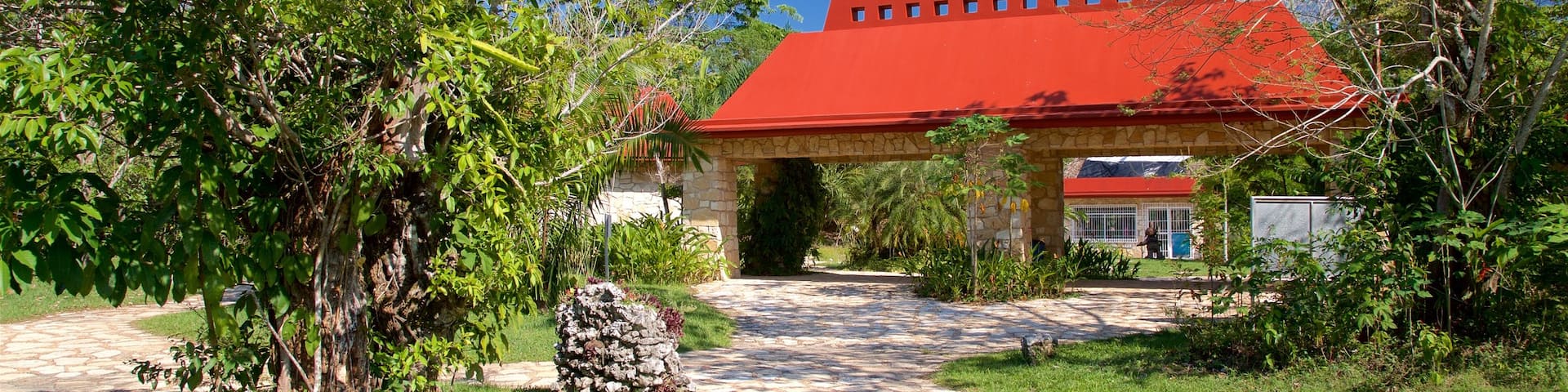 Palenque ofreciendo un jardín