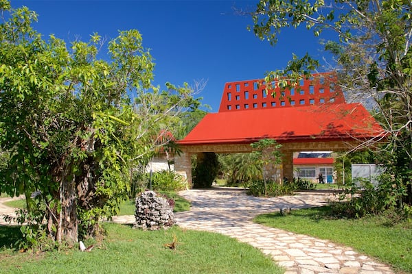 Palenque showing a park