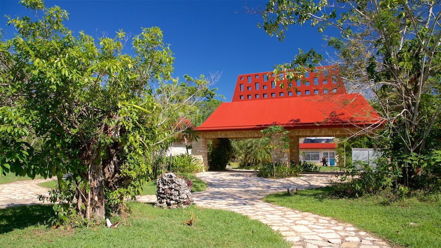 Palenque showing a park
