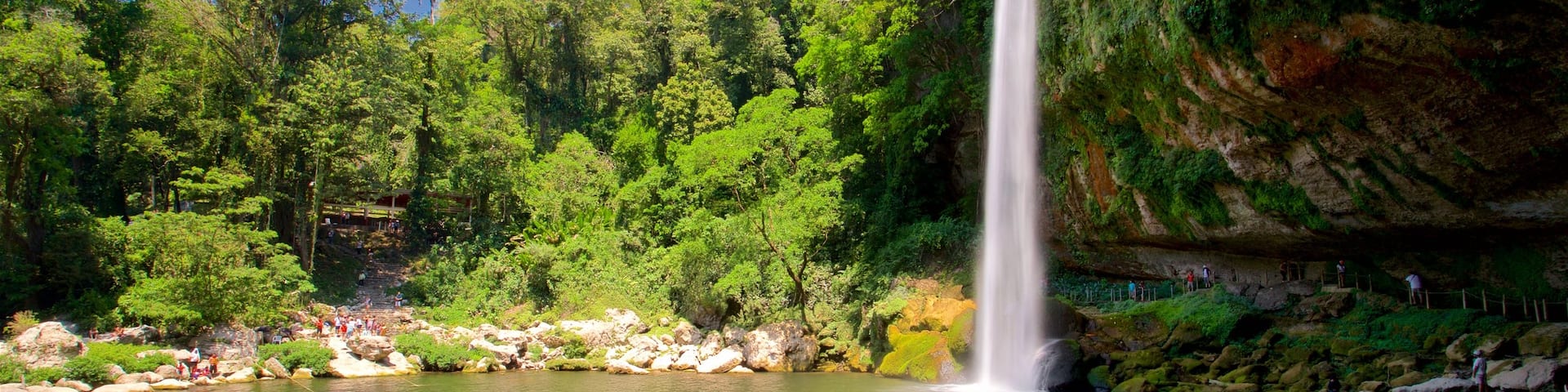 Misol-Ha Waterfalls which includes a lake or waterhole and a waterfall