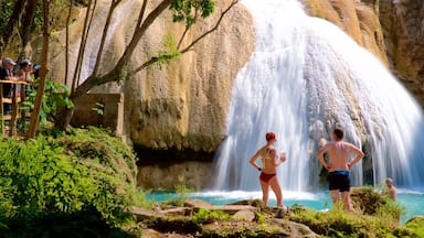 Cascadas de Agua Azul mostrando una cascada y también una pareja