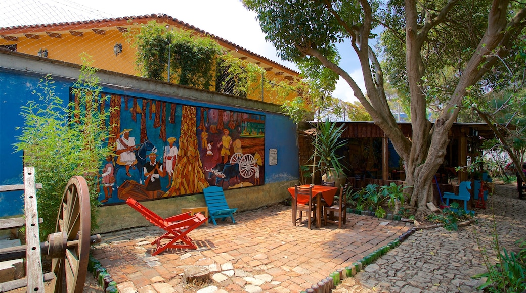 Na Bolom Cultural Museum showing outdoor art