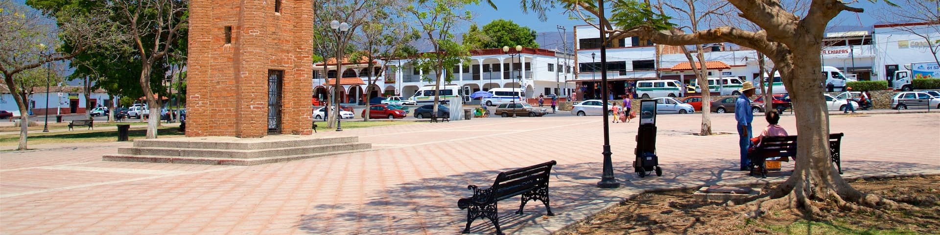 Chiapa De Corzo showing a garden and heritage architecture