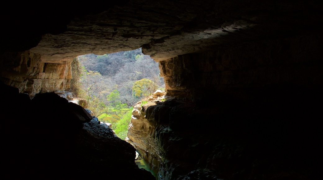 El Chorreadero bevat grotten