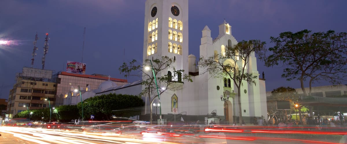 Catedral de San Marcos que incluye escenas nocturnas, una iglesia o catedral y elementos del patrimonio