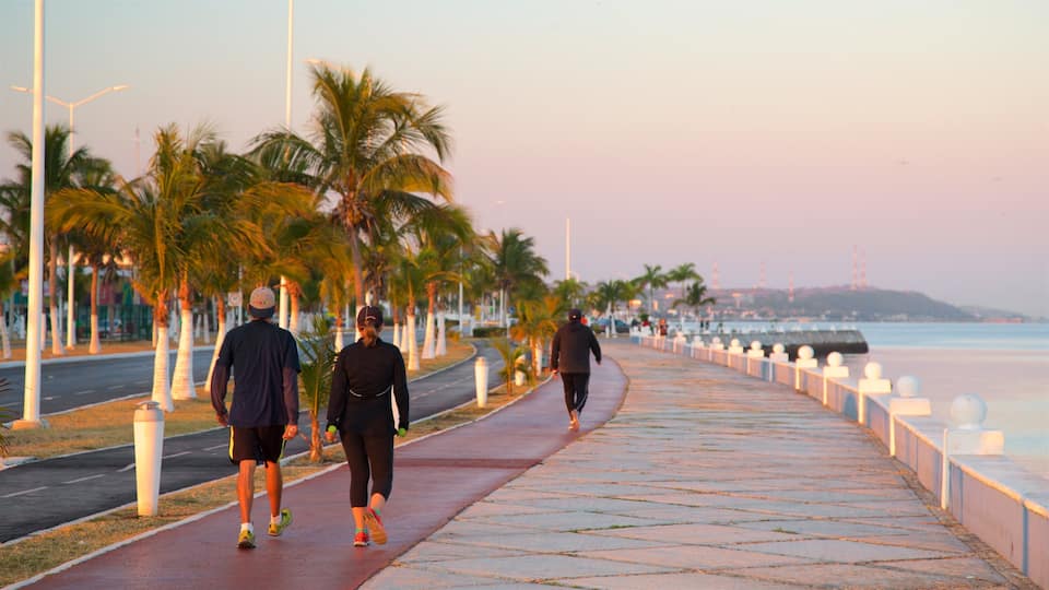 Promenade en bord de mer de Campeche qui includes randonnée ou marche à pied et coucher de soleil aussi bien que couple