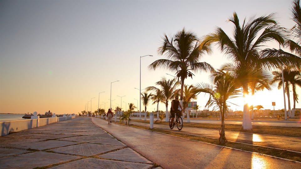 Promenade en bord de mer de Campeche montrant cyclisme sur route et coucher de soleil aussi bien que homme
