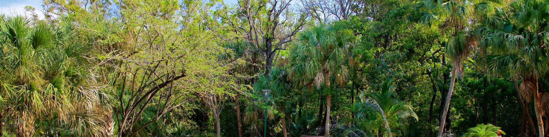 Joyyo Mayu Park featuring a fountain, a pond and a park
