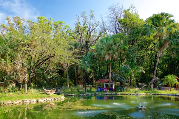 Joyyo Mayus park som inkluderar en damm, en park och en fontÀn