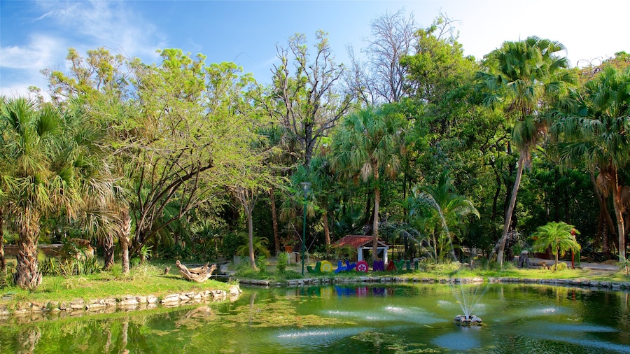 Joyyo Mayu Park which includes a garden, a pond and a fountain
