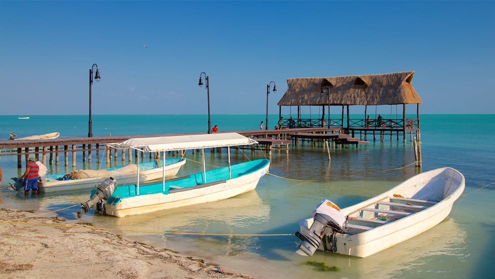 Isla de Aguada which includes a bay or harbour and general coastal views