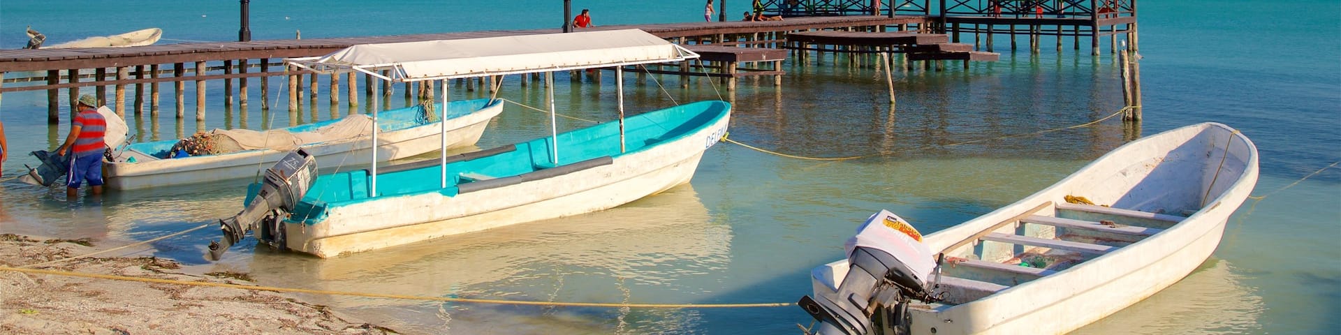 イスラ デ アグアダ フィーチャー 湾岸あるいはハーバー と 海岸線の眺め
