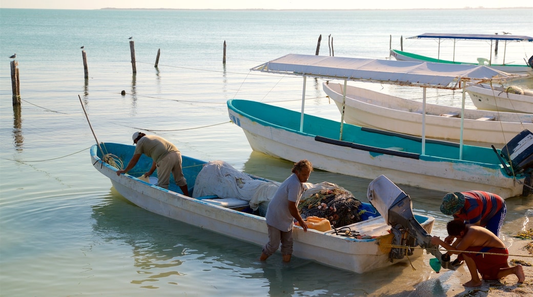 Isla Aguada mostrando vistas generales de la costa y una bahía o puerto y también un pequeño grupo de personas