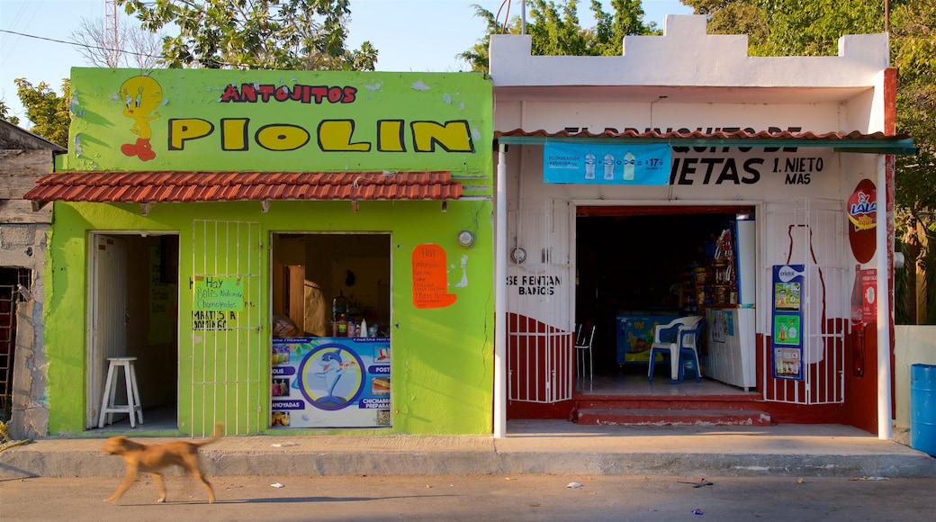 Isla de Aguada featuring signage