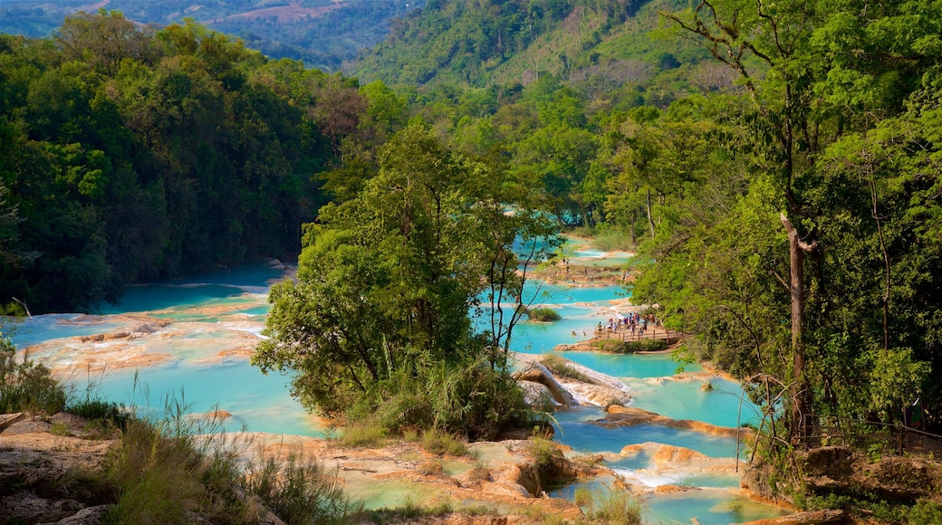 Cascadas de Agua Azul 其中包括 河流或小溪 和 山水美景