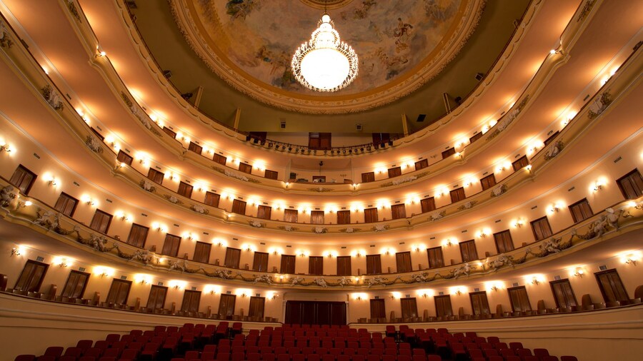 Teatro Peón Contreras caratteristiche di teatro e vista interna
