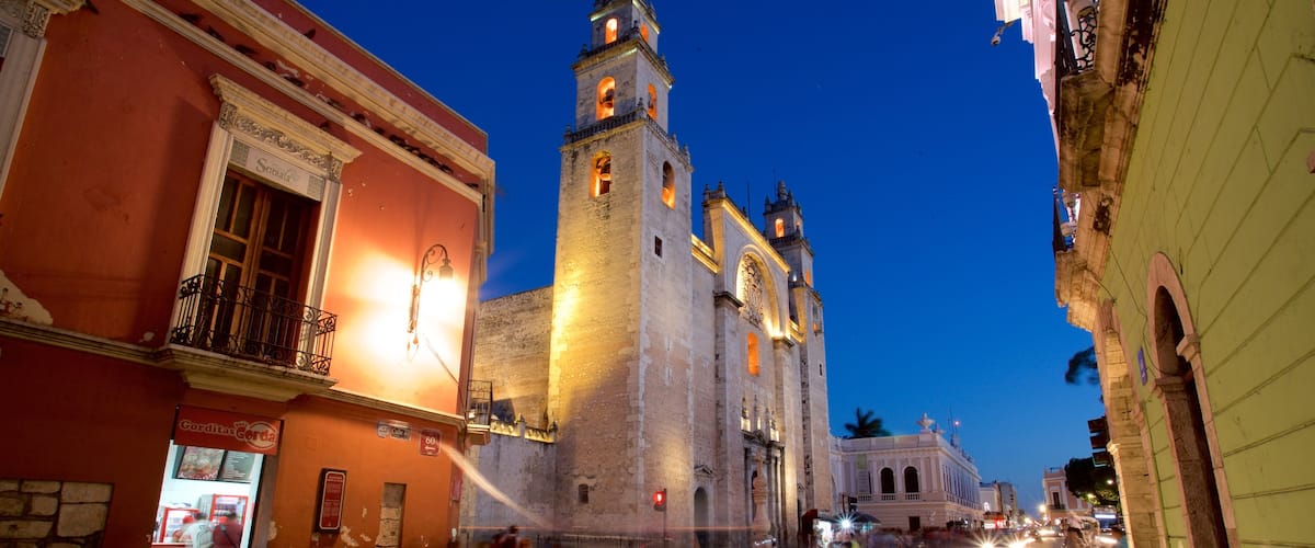 Merida Cathedral which includes heritage architecture and night scenes