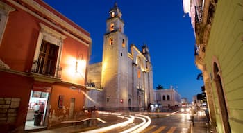 Merida Cathedral which includes heritage architecture and night scenes