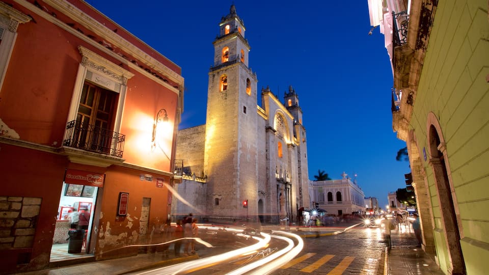 Catedral de Mérida mostrando patrimonio de arquitectura y escenas nocturnas