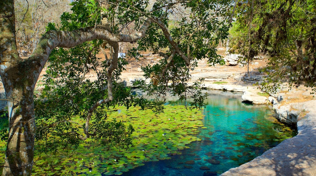 Dzibilchaltun Ruins which includes a pond