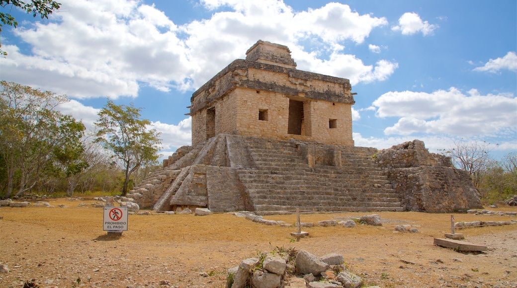 Dzibilchaltun Ruins featuring building ruins and heritage elements