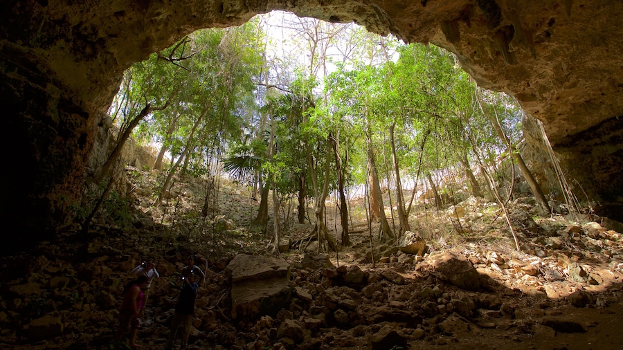 Grotte di Calcehtok caratteristiche di vista interna, foresta e grotte