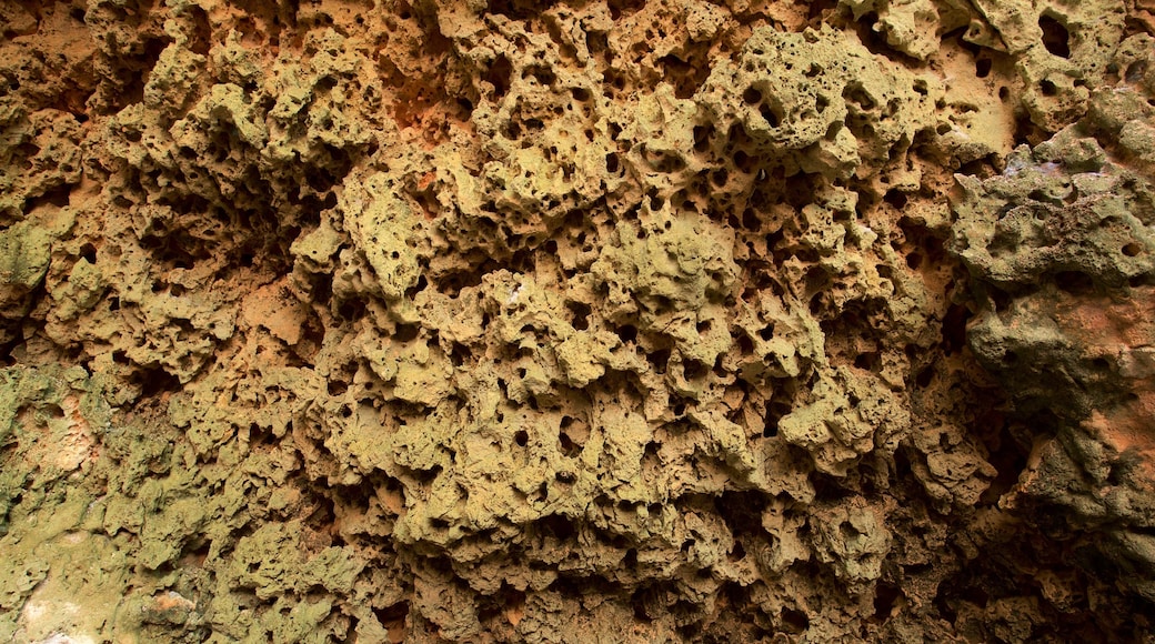 Grotte di Calcehtok caratteristiche di grotte